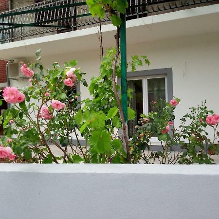 Apartmani Alma Skradin Exteriér fotografie